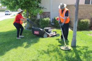Image of MVLandscape employee mowing and edging a lawn