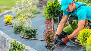 Image of MVLandscape employee planting flowers in the front yard of a home